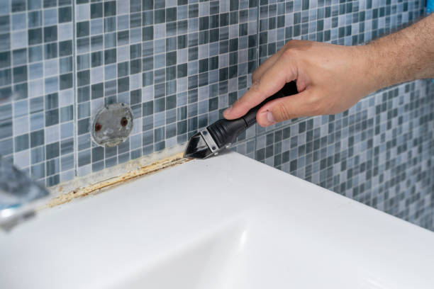 Best Fast Mold Removal  in Lake City, FL